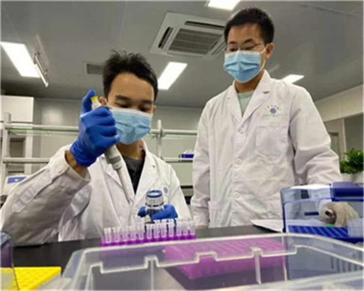亲子鉴定怎么做需要什么手续?具体流程是什么?
